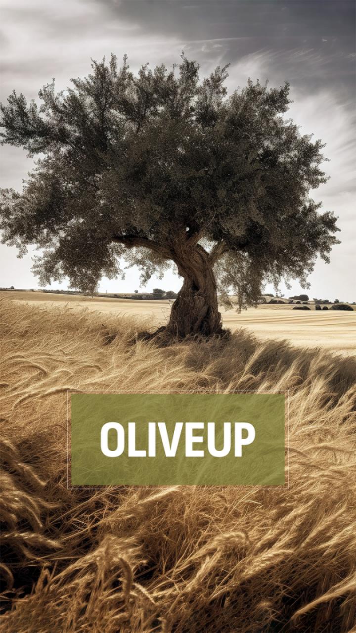 olive1