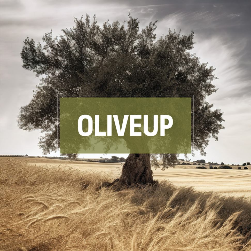 olive11